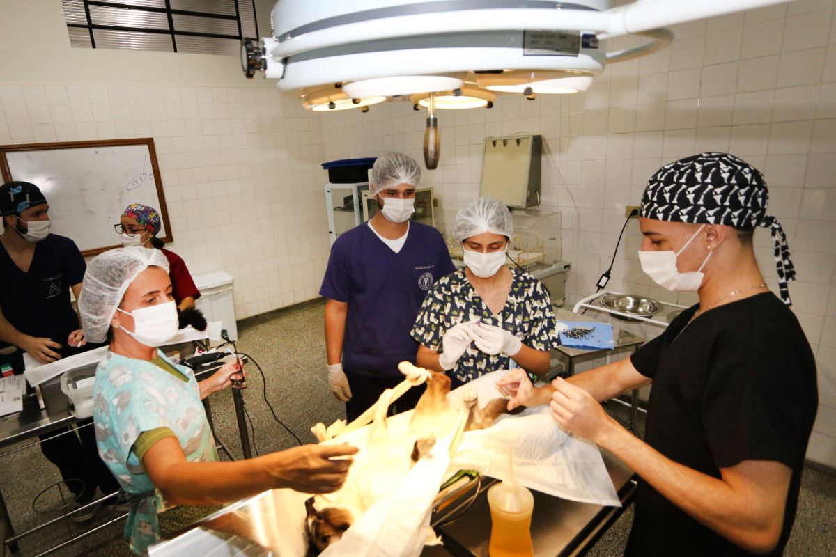 Hospital Veterinário