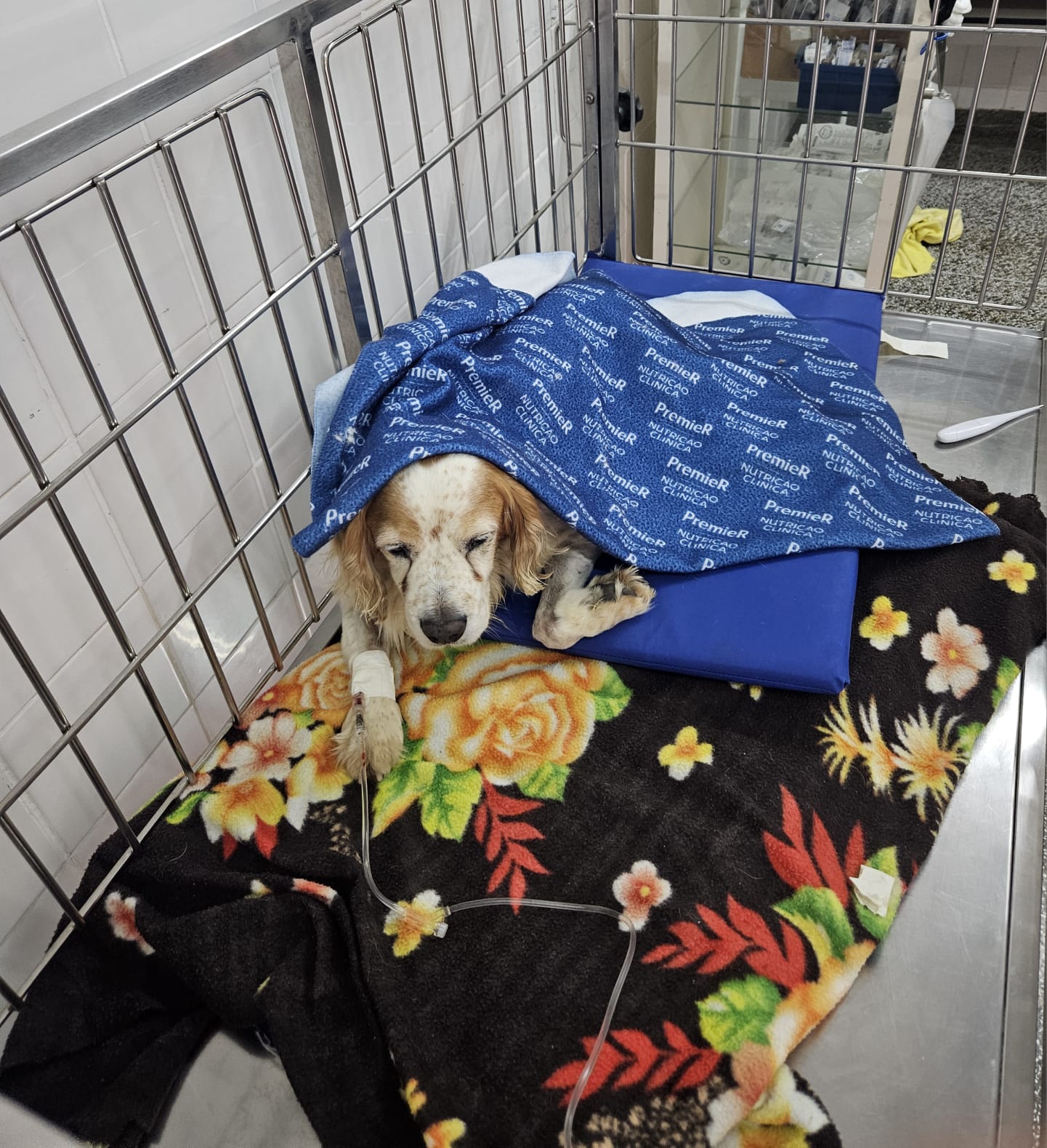 Hospital Veterinário