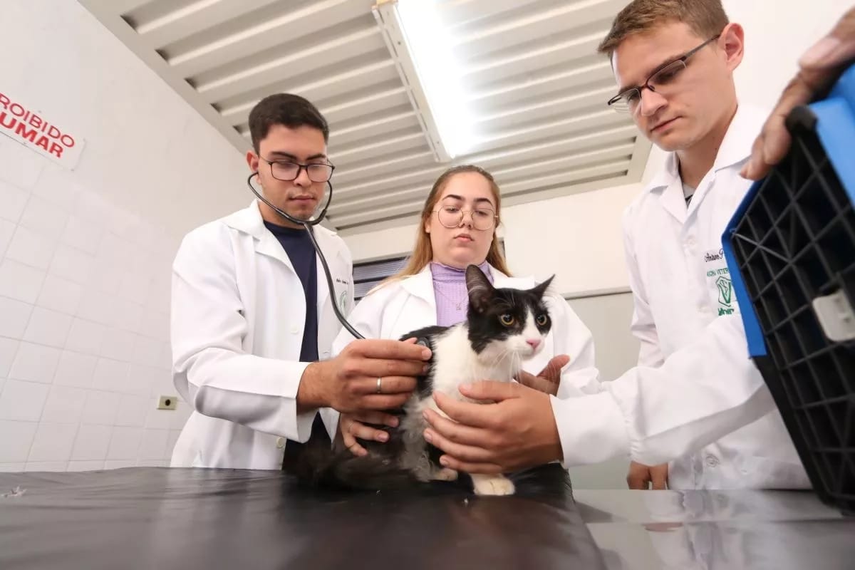 Hospital Veterinário