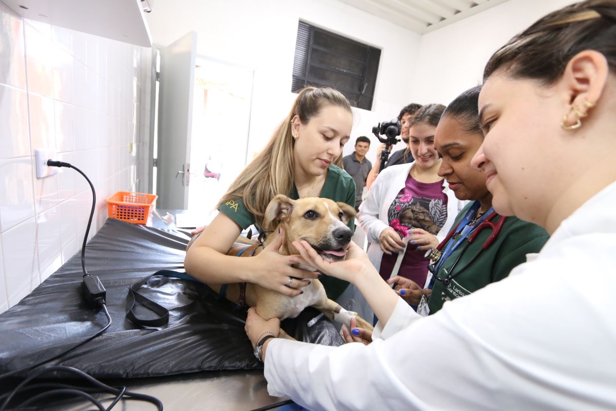 Hospital Veterinário