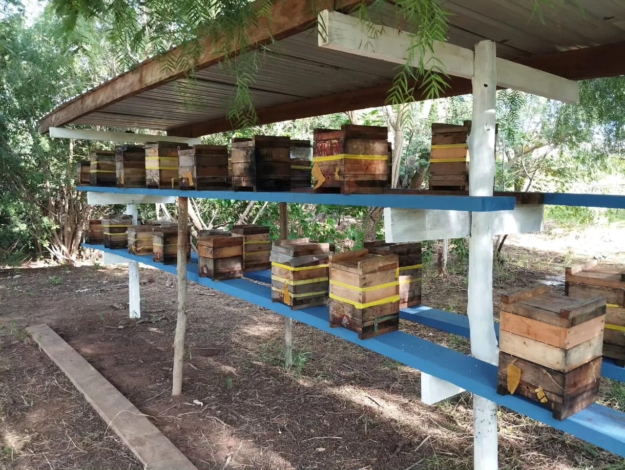 Fazenda Experimental