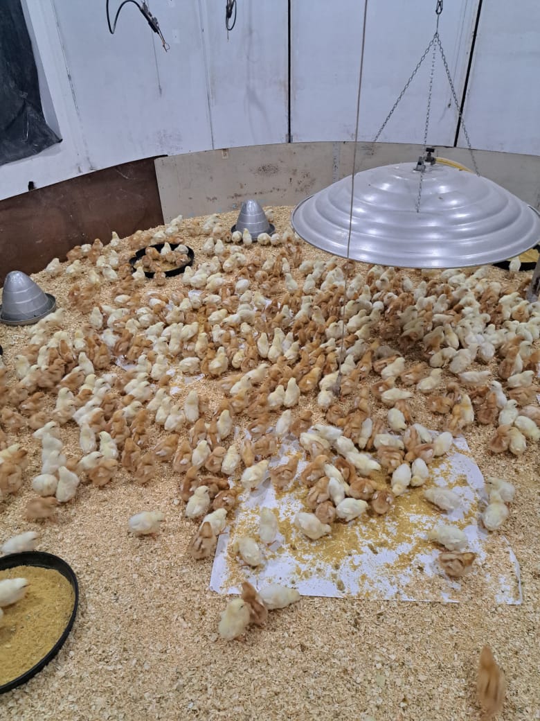 Fazenda Experimental
