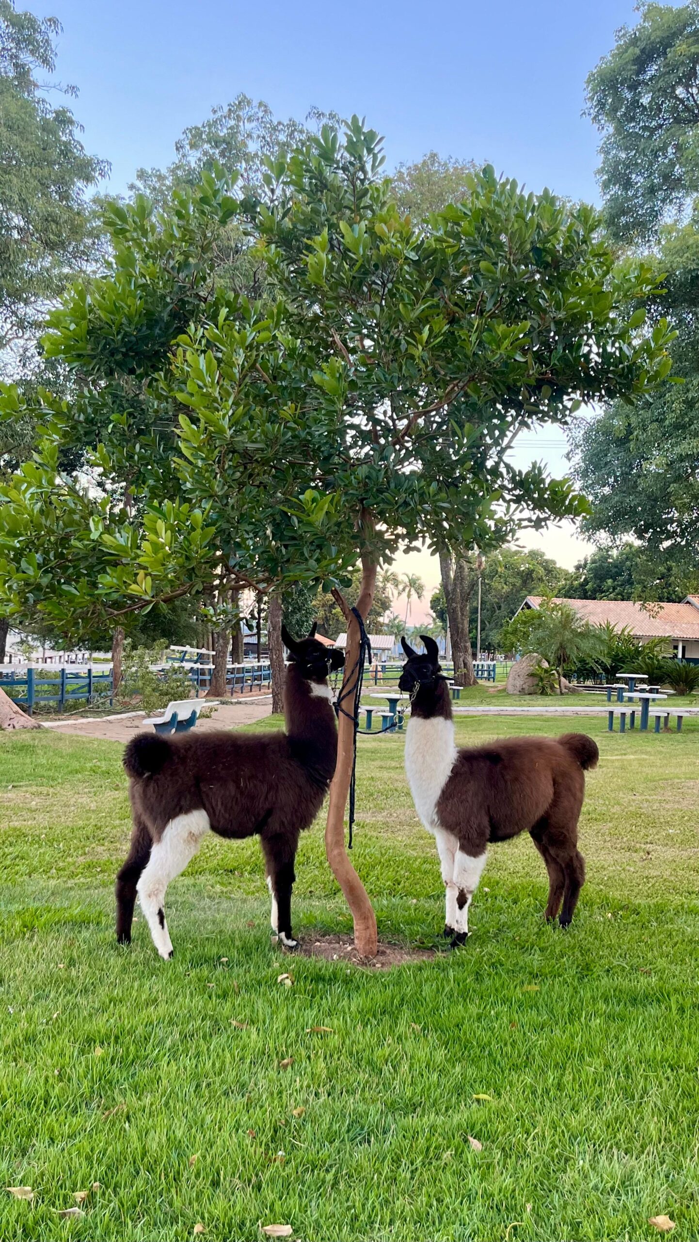 Fazenda Experimental